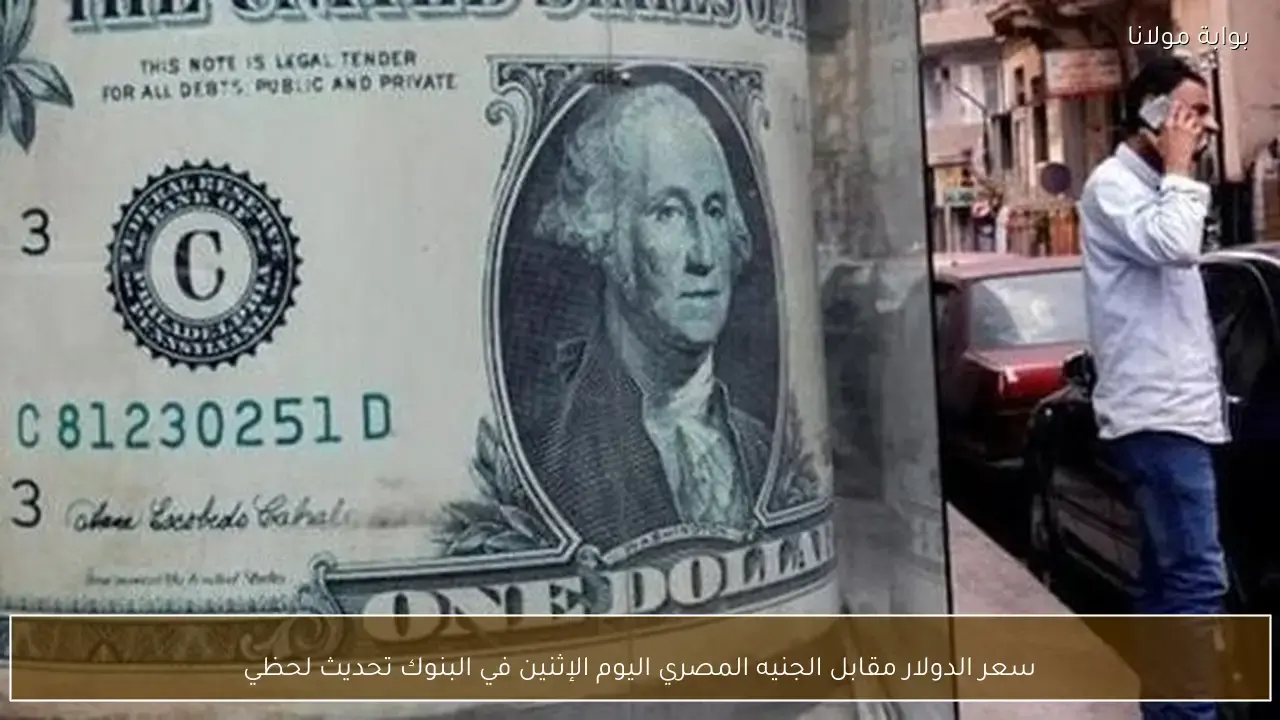 تحولات جديدة في سعر الدولار مقابل الجنيه المصري داخل البنوك خلال تعاملات الإثنين